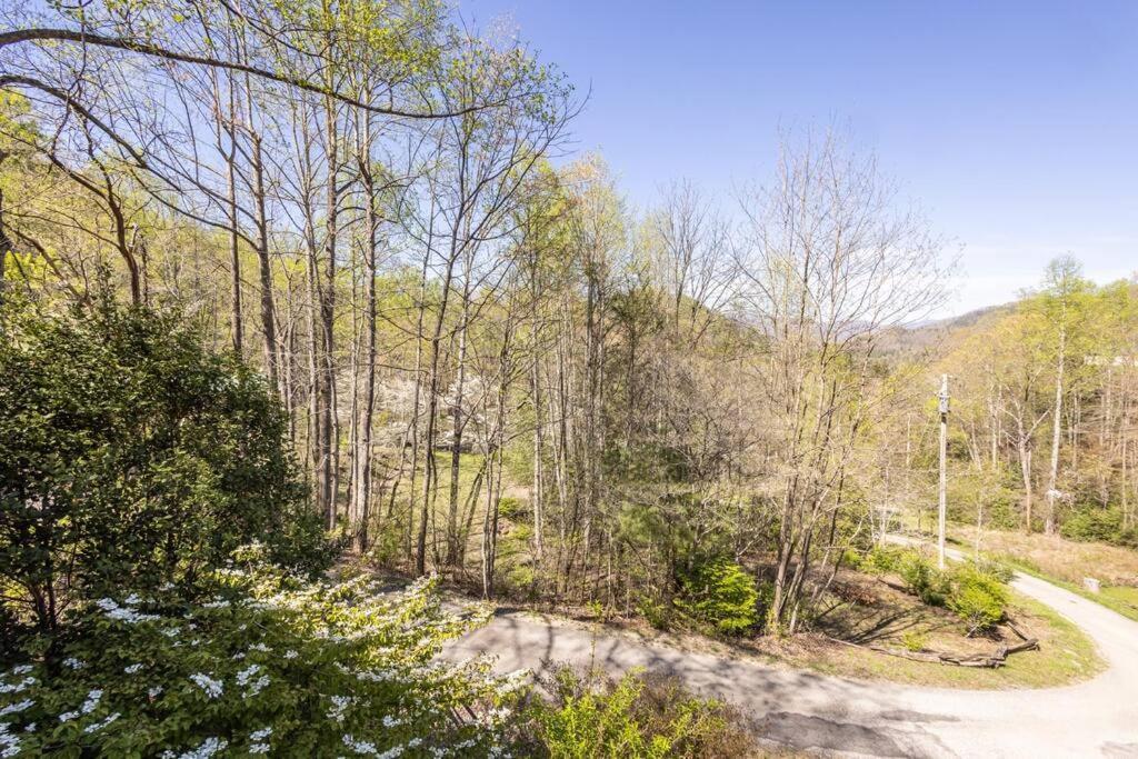 Chalet Family Near Smoky Mtn Entrance Nantahala Robbinsville